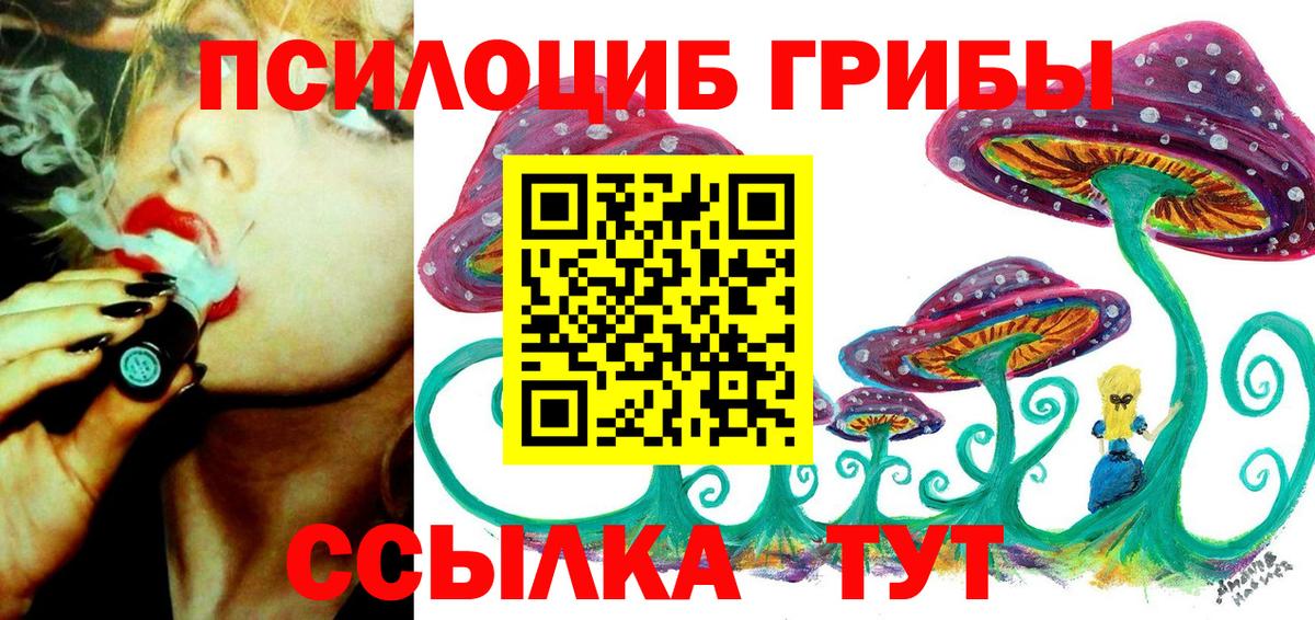 Псилоцибиновые грибы Psilocybine cubensis  Вход с VPN  закладки  Тосно  Псилоцибиновые грибы ЛСД 